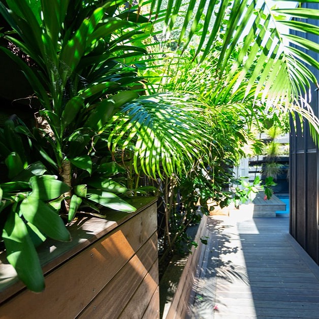 Subtropical Santuary